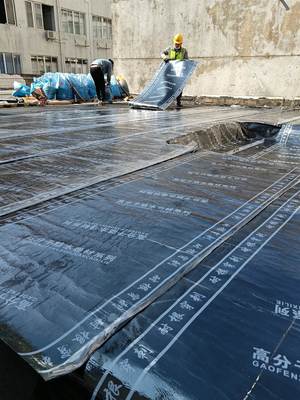 湛江遂溪陽臺防水補(bǔ)漏