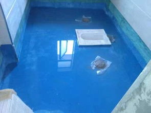 家裝防水有貓膩兒 可要學(xué)著點,別讓自己的血汗錢打水漂