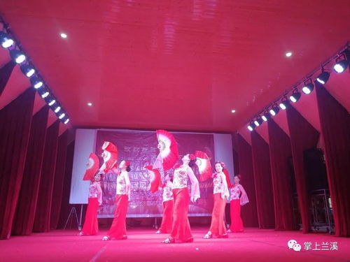 放歌新時代，文化進萬家——記2019新春文化系列活動與蘭溪水鳥藝術團的基層之旅