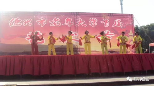 銀城街道攜手市老年大學，共譜首屆藝術節華章